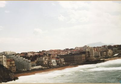 2007